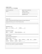 Renginio užbaigimas, įvertinimas ir rezultatai 6 puslapis