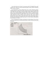 Ribinis naudingumas, abejingumo kreivės ir biudžeto linija 10 puslapis