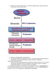 Riebalų rūgštys 3 puslapis