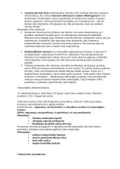 Riebalų rūgštys 6 puslapis