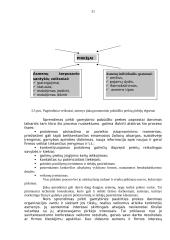 Rinka ir rinkos tyrimas 12 puslapis