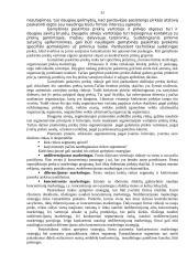 Rinka ir rinkos tyrimas 13 puslapis