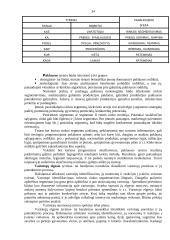 Rinka ir rinkos tyrimas 15 puslapis