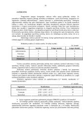 Rinka ir rinkos tyrimas 20 puslapis