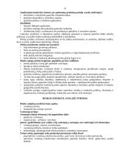 Rinkos tyrimai 11 puslapis