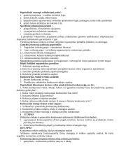 Rinkos tyrimai 12 puslapis