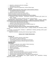 Rinkos tyrimai 13 puslapis