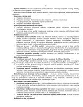 Rinkos tyrimai 14 puslapis