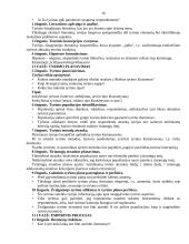 Rinkos tyrimai 16 puslapis