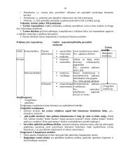 Rinkos tyrimai 18 puslapis