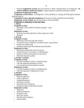 Rinkos tyrimai 19 puslapis