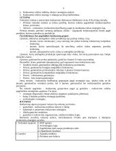 Rinkos tyrimai 4 puslapis