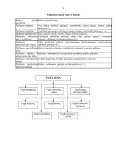 Rinkos tyrimai 8 puslapis