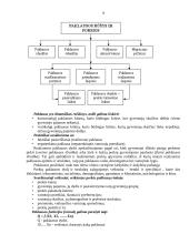 Rinkos tyrimai 9 puslapis