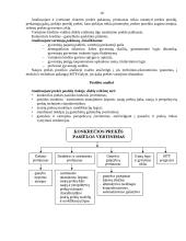 Rinkos tyrimai 10 puslapis