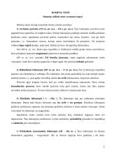 Romėnų civilinės tesės vystymosi etapai