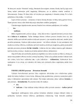 Romėnų civilinės tesės vystymosi etapai 14 puslapis