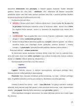 Romėnų civilinės tesės vystymosi etapai 15 puslapis