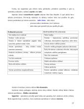 Romėnų civilinės tesės vystymosi etapai 17 puslapis