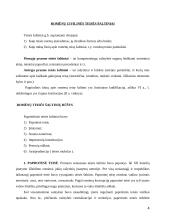 Romėnų civilinės tesės vystymosi etapai 4 puslapis