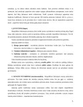 Romėnų civilinės tesės vystymosi etapai 5 puslapis