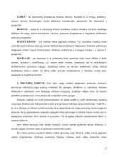 Romėnų civilinės tesės vystymosi etapai 7 puslapis