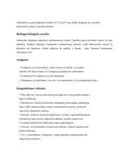 Salmonella gentis 2 puslapis