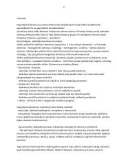 Sisteminės teorijos 11 puslapis