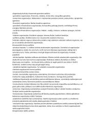 Sisteminės teorijos 13 puslapis