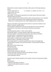 Sisteminės teorijos 14 puslapis