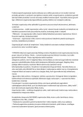 Sisteminės teorijos 16 puslapis