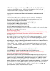 Sisteminės teorijos 17 puslapis