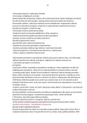 Sisteminės teorijos 20 puslapis