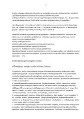 Sisteminės teorijos 4 puslapis