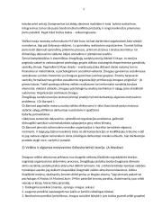 Sisteminės teorijos 5 puslapis