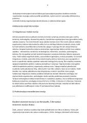 Sisteminės teorijos 8 puslapis