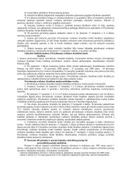 Socialinės apsaugos pagrindai Lietuvoje 20 puslapis