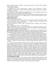 Socialinės apsaugos pagrindai Lietuvoje 3 puslapis