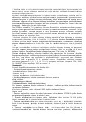 Socialinės apsaugos pagrindai Lietuvoje 4 puslapis