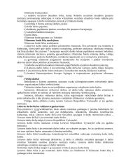 Socialinės apsaugos pagrindai Lietuvoje 10 puslapis