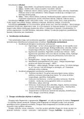 Socialinės pedagogikos mokslo teorija 2 puslapis