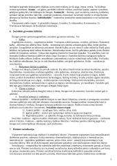 Socialinės pedagogikos mokslo teorija 3 puslapis