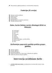 Socialinio darbuotojo profesija 2 puslapis