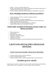 Socialinio darbuotojo profesija 12 puslapis