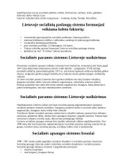 Socialinio darbuotojo profesija 13 puslapis