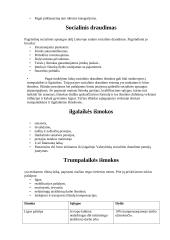 Socialinio darbuotojo profesija 14 puslapis