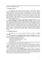 Sociologijos įvadas teorija 2 puslapis