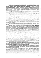 Sociologijos įvadas teorija 12 puslapis