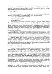 Sociologijos įvadas teorija 13 puslapis