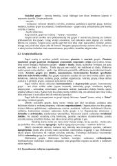 Sociologijos įvadas teorija 16 puslapis